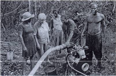 helphelpennieuwsbrief019